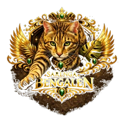 Bengalen Sarenga Logo